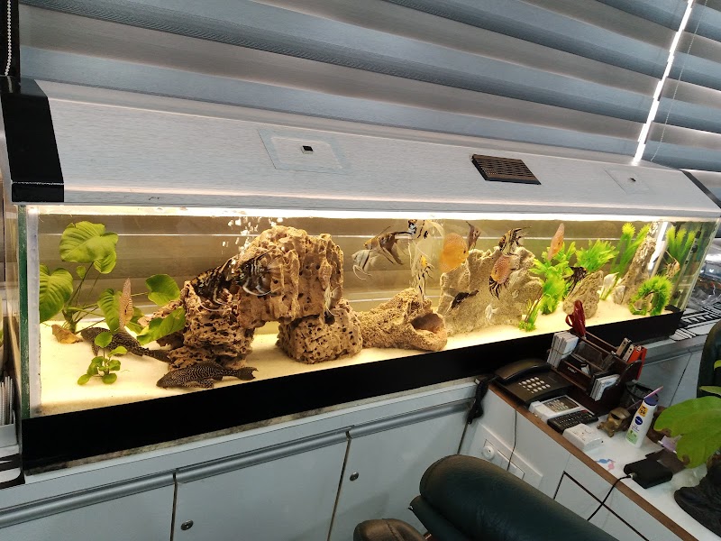 Aqua Discovery aquarium & accessories& pet shop — Photo 2