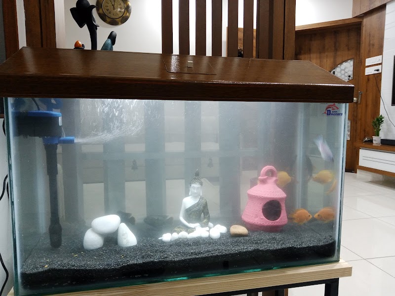 Aqua Discovery aquarium & accessories& pet shop — Photo 3