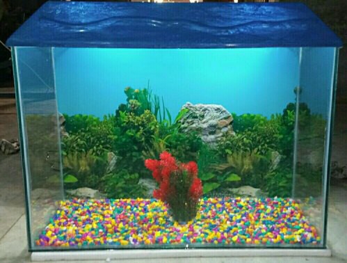 Aqua Galaxy. — Photo 2