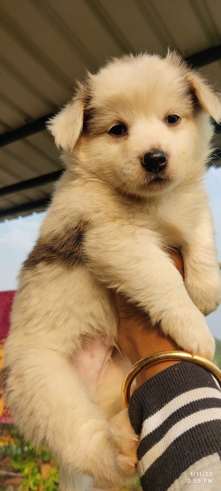 Aqua Galaxy. — Photo 3