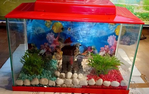 Aqua Galaxy. — Photo 4