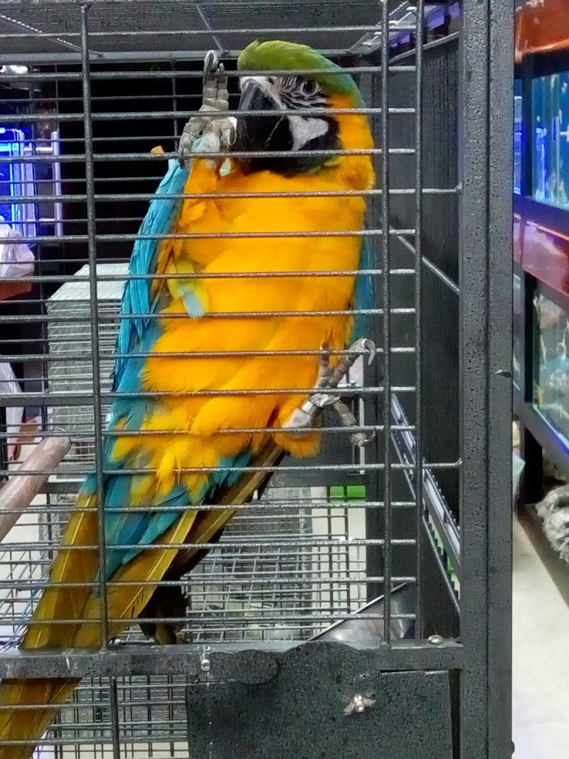 Aqua Interior (aquarium shop) — Photo 3