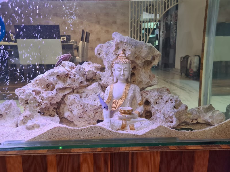 Aqua Interior (aquarium shop) — Photo 4