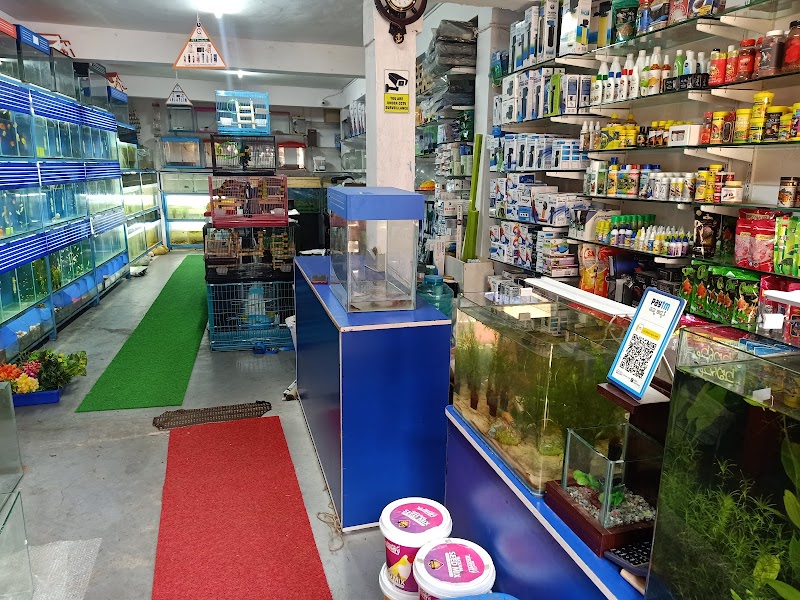 AQUA JEWELS AQUARIUMS MYSORE — Photo 4