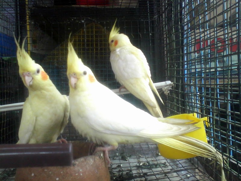 Aqua World Aquarium Kottayam — Photo 2