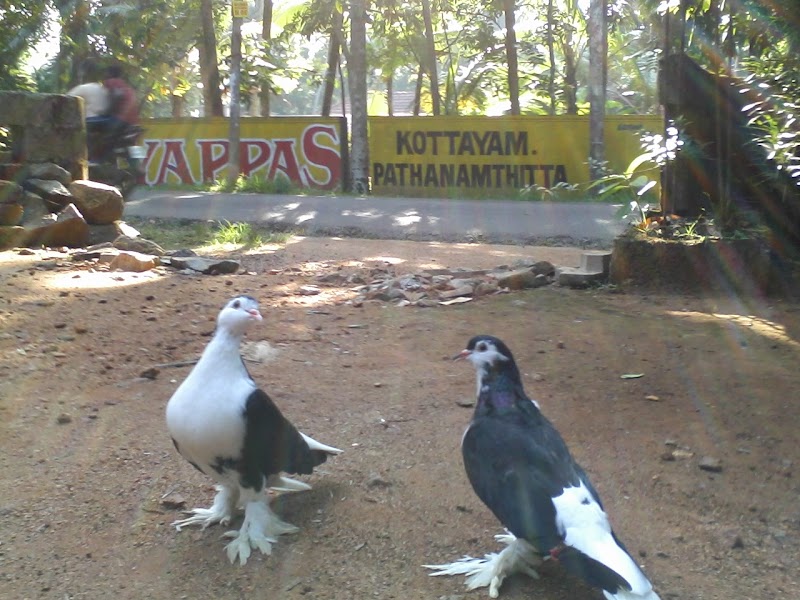 Aqua World Aquarium Kottayam — Photo 3