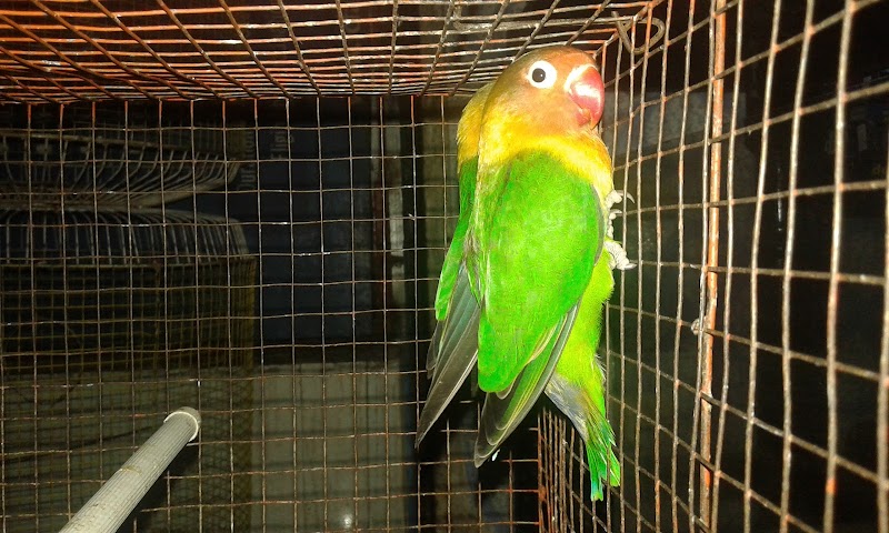 Aqua World Aquarium Kottayam — Photo 4