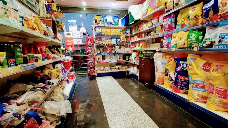 AQUAFOREST Exotic Pets & Aquarium — Photo 2