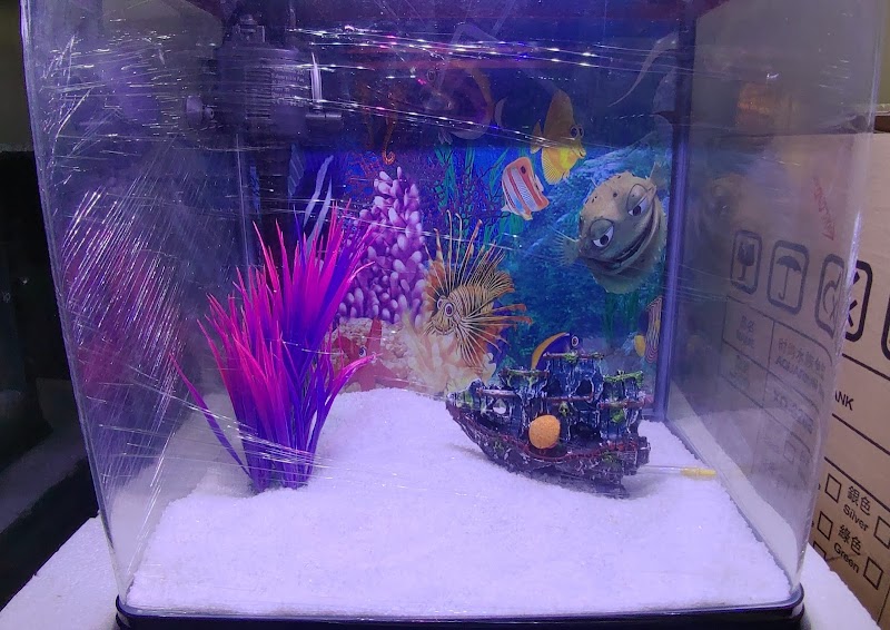 AQUAFOREST Exotic Pets & Aquarium — Photo 3