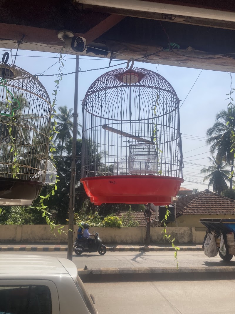 Aquarium & Pet Shop — Photo 2