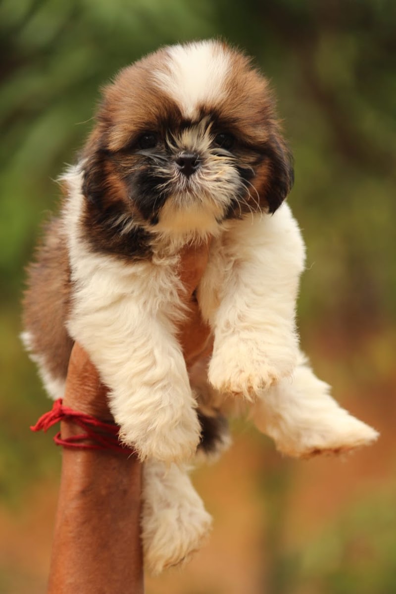 Aquarium & Pet Shop — Photo 4