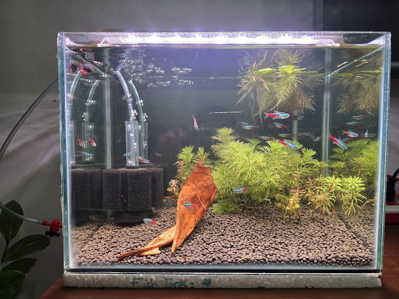 AQUATIC AQUARIUM & PET SHOP — Photo 3