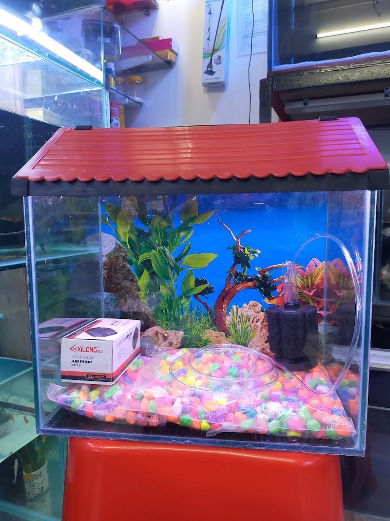 AQUATIC AQUARIUM & PET SHOP — Photo 4