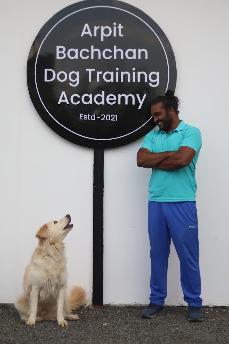 Arpit Bachchan Dog Training Academy