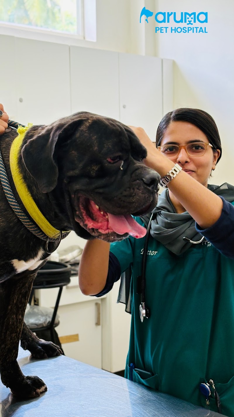 ARUMA MULTI-SPECIALITY PET HOSPITAL