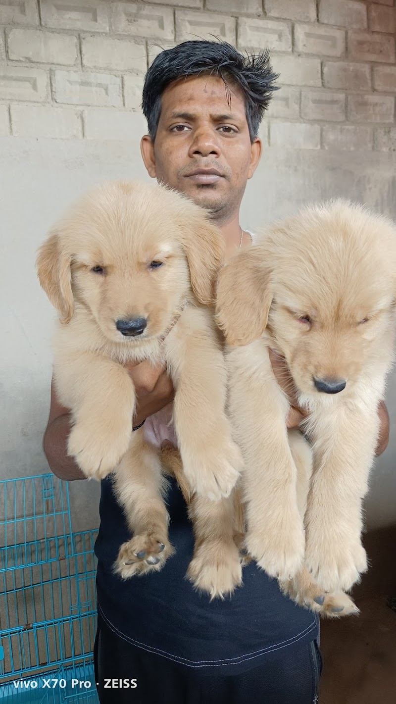 Aryan Pet's Shop — Photo 2