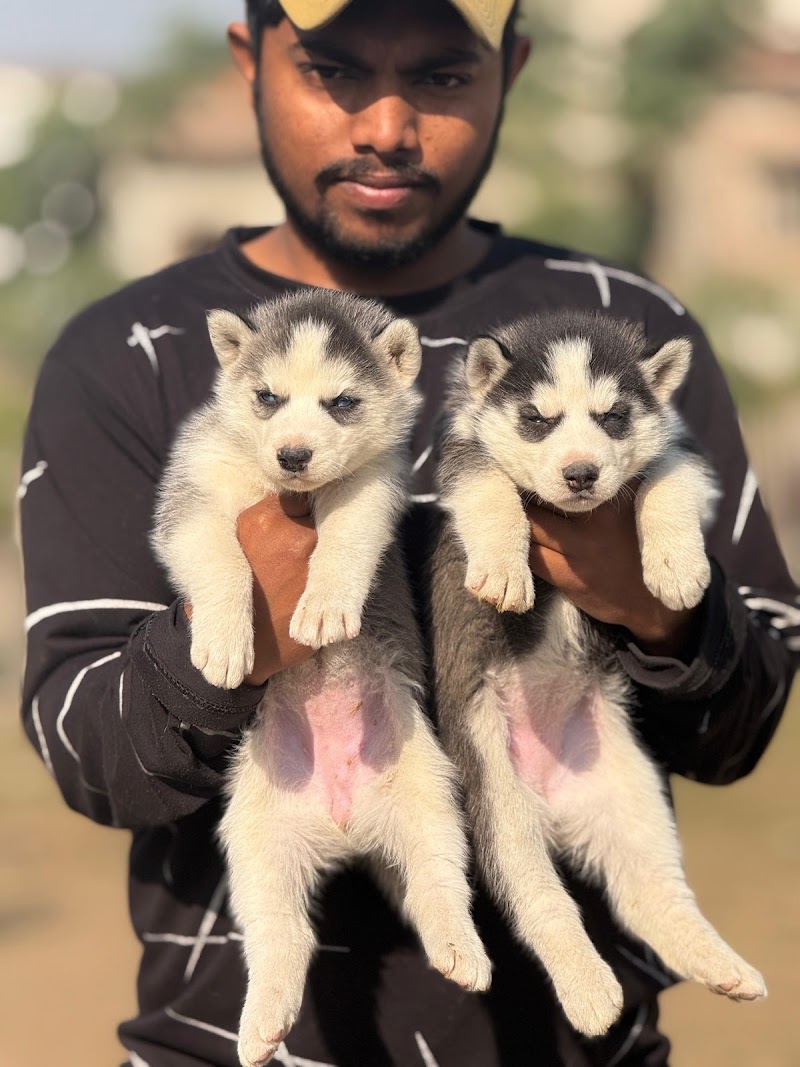 Aryan Pet's Shop — Photo 3