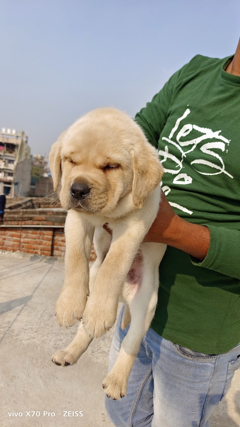 Aryan Pet's Shop — Photo 4