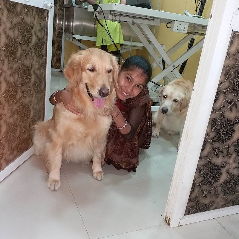 A'S Pets Grooming Salon — Photo 3