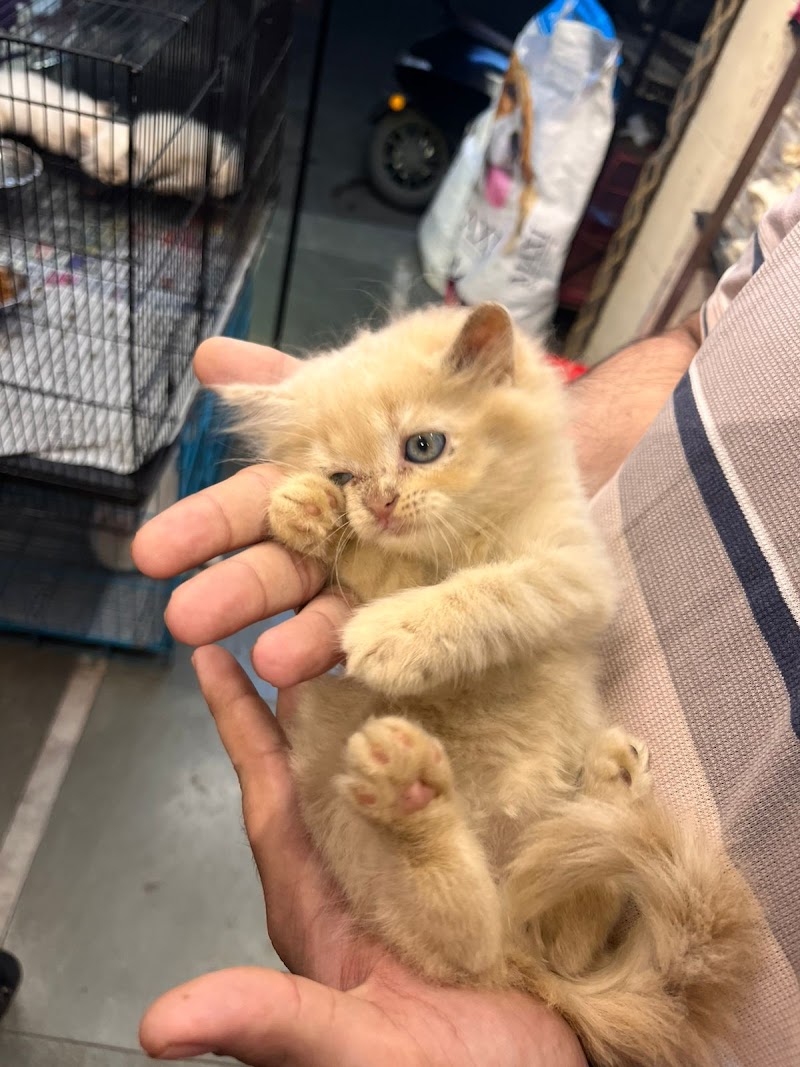 Ashad Pet Shop — Photo 2