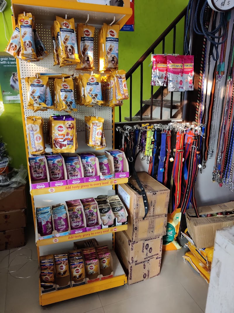 Assam Puppies kennel