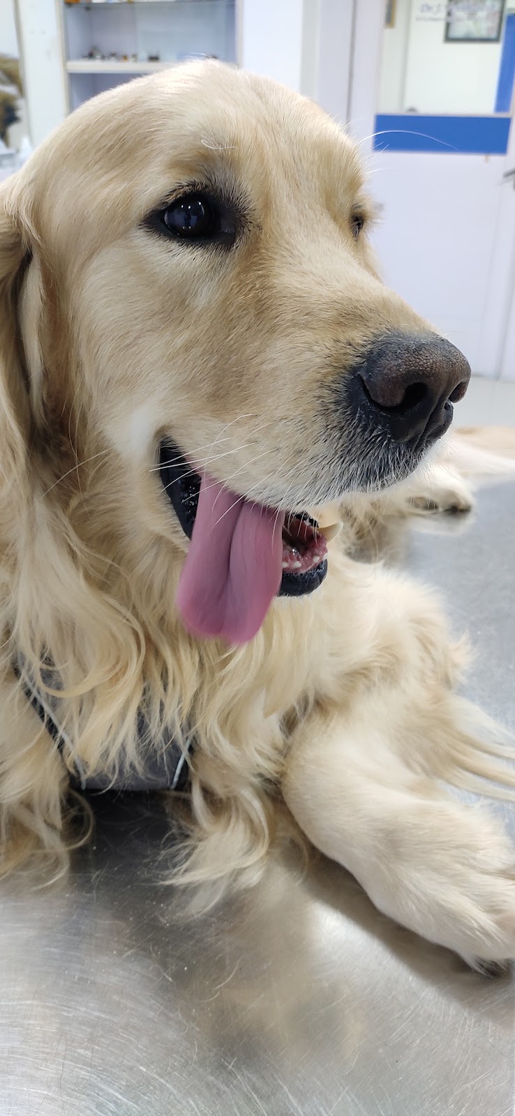 Auro Multispeciality Pet Hospital — Photo 2