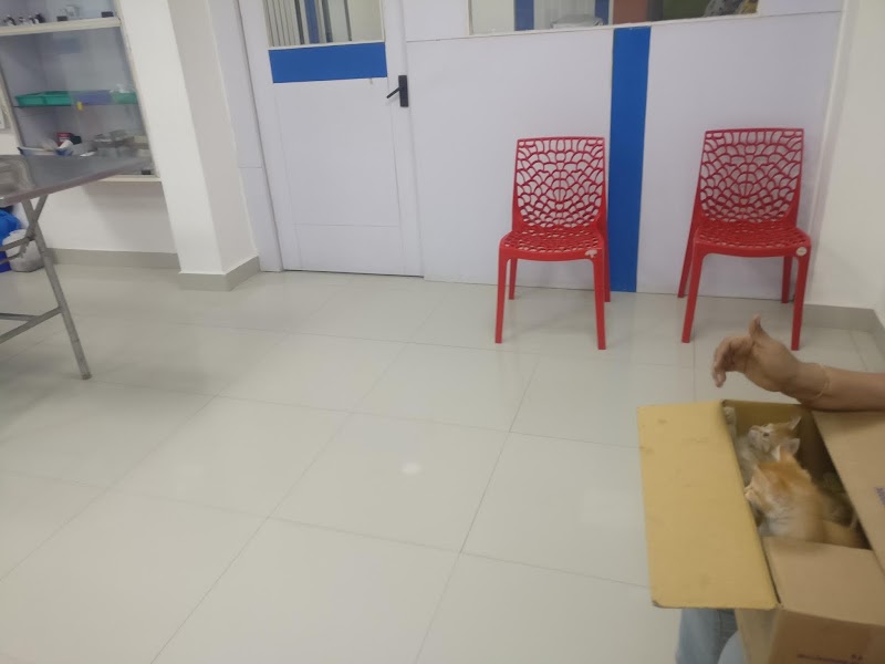 Auro Multispeciality Pet Hospital — Photo 4