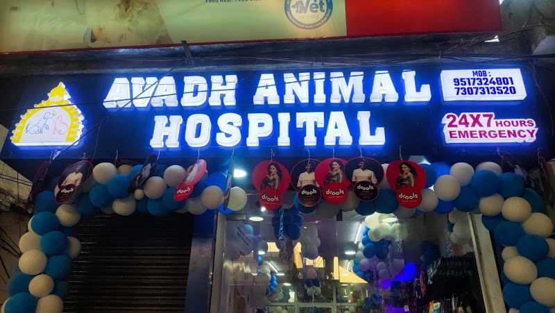 Avadh animal hospital - veterinary clinic, pet doctor & food store in Alambagh