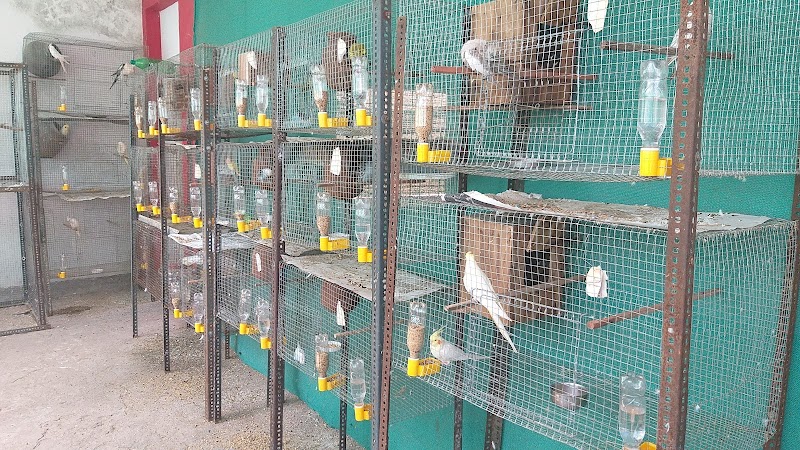 Azlan's The Exotic's