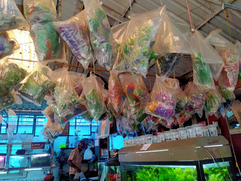 Babu Golden Aquarium — Photo 2