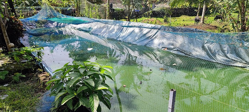 Backwater Heritage Homestay — Photo 2