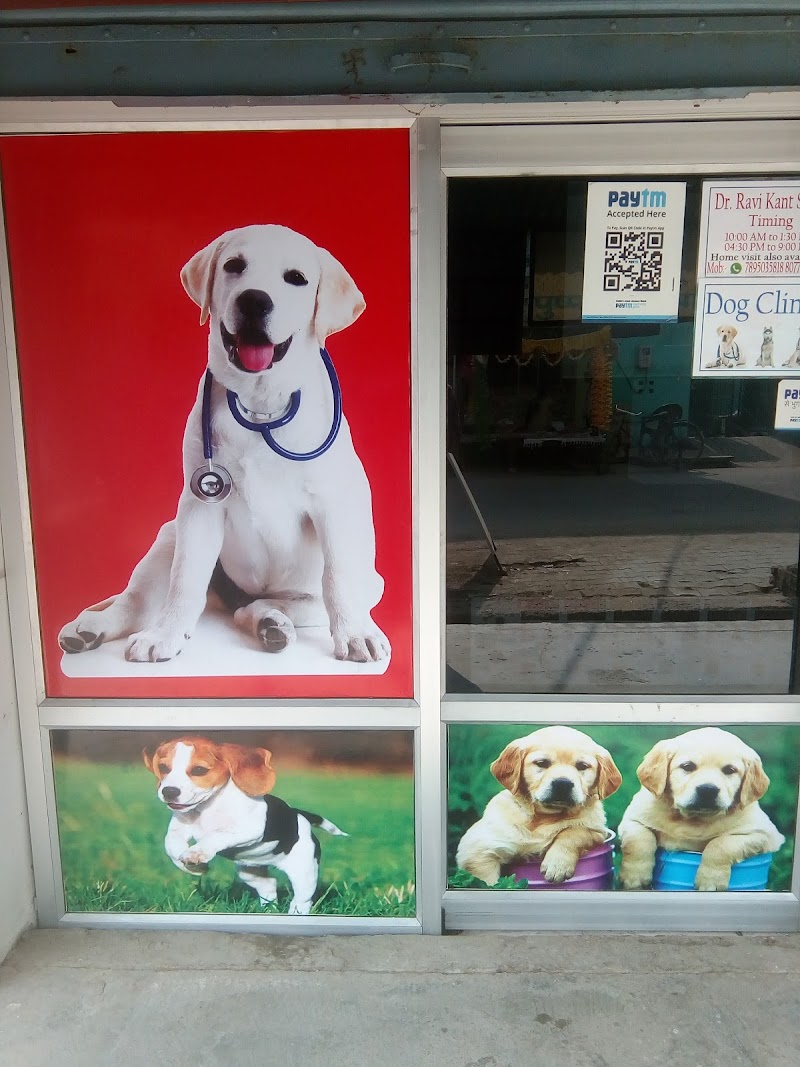 Balaji dog clinic dayal bagh agra — Photo 2