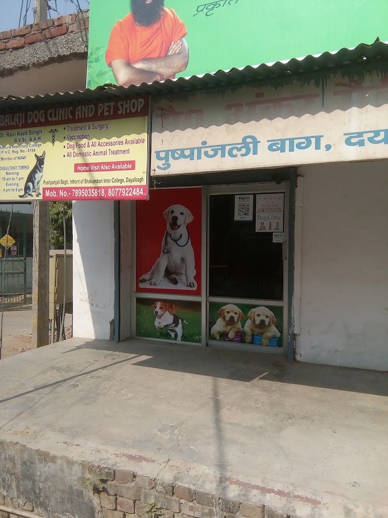 Balaji dog clinic dayal bagh agra — Photo 3