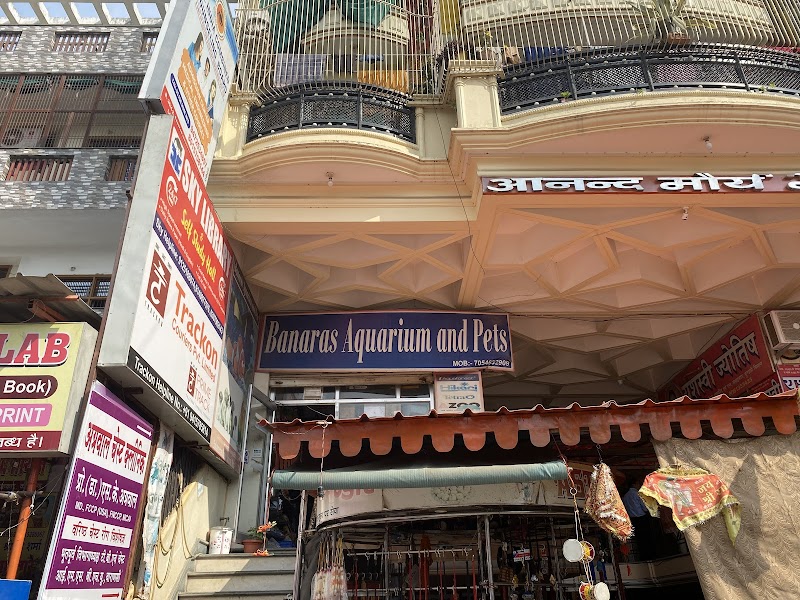 Banaras aquarium and pets(best aquarium shop)