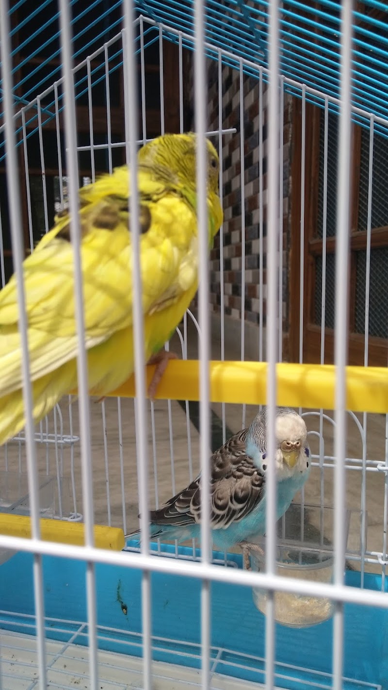 Bark N Bite Pet Shop — Photo 4