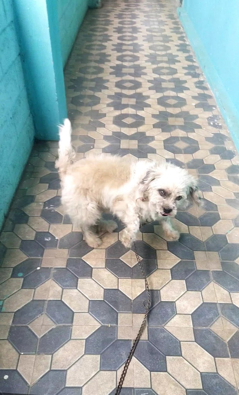 Barks and Meows Pet Clinic — Photo 4