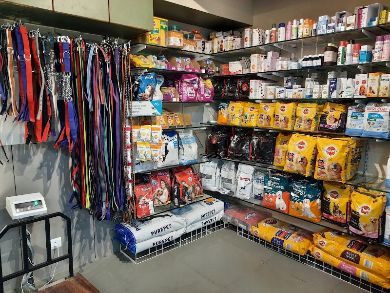 Baroda Pet Clinic — Photo 2