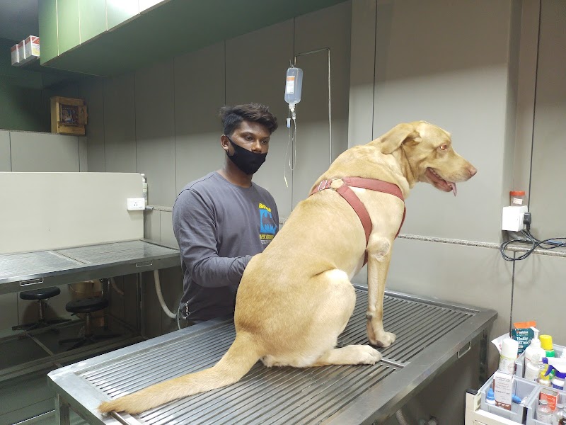 Baroda Pet Clinic — Photo 3