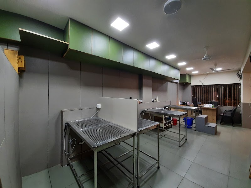 Baroda Pet Clinic — Photo 4