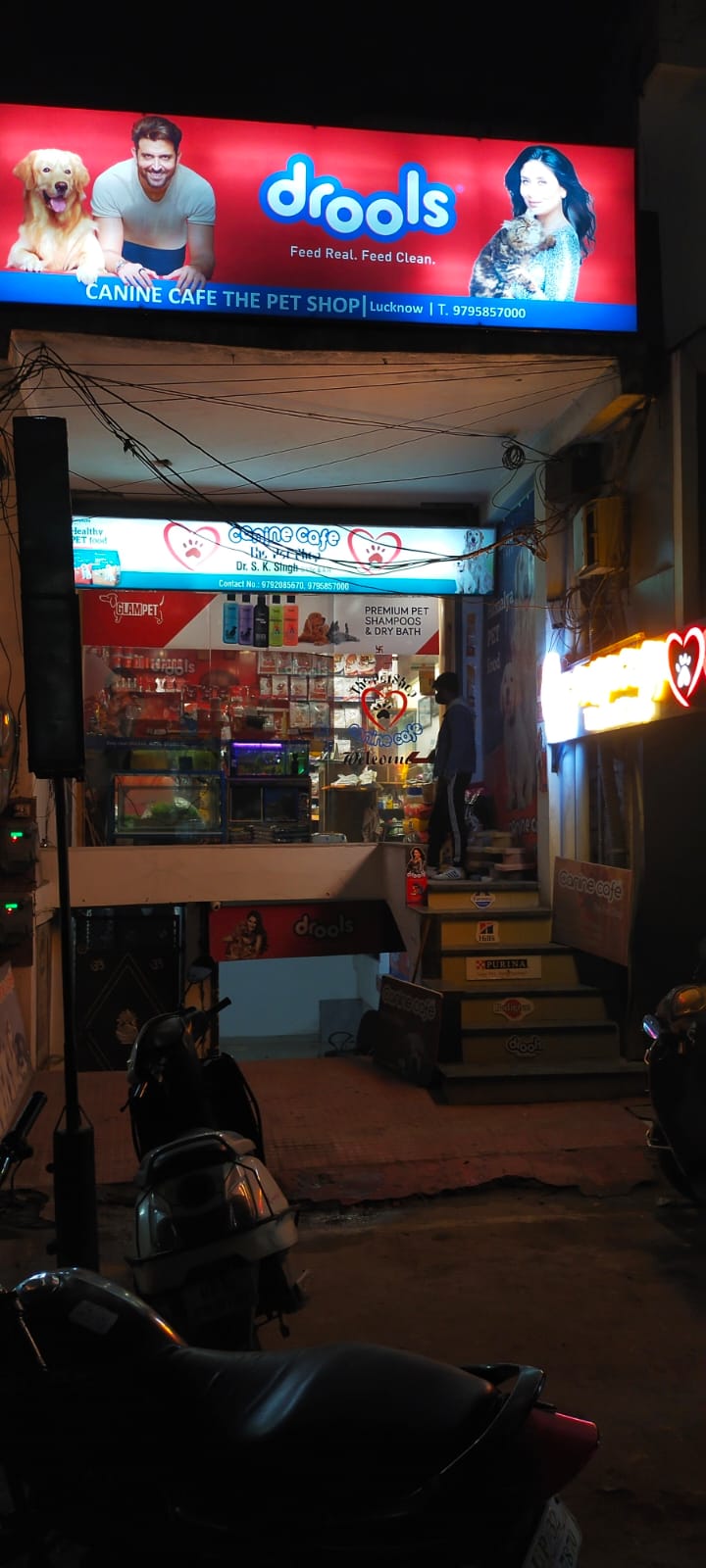 Best Breeds Care || Best Pet Shop In Sarojini Nagar | Pet Hostel or Cruch in Sarojini Nagar