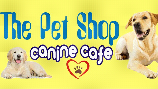 Best Breeds Care || Best Pet Shop In Sarojini Nagar | Pet Hostel or Cruch in Sarojini Nagar — Photo 3
