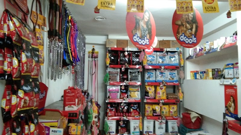 Best Breeds Care || Best Pet Shop In Sarojini Nagar | Pet Hostel or Cruch in Sarojini Nagar — Photo 2