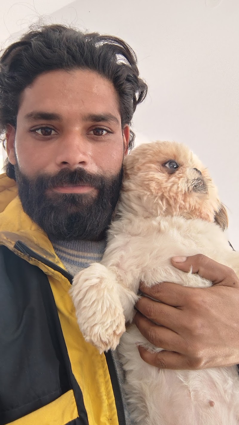 Best Dog Trainer in Delhi - Tinku sharma