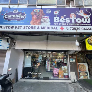 𝗕𝗲𝘀𝗧𝗼𝘄 𝗣𝗲𝘁 𝗦𝘁𝗼𝗿𝗲 & 𝗠𝗲𝗱𝗶𝗰𝗮𝗹 - Best Pet Salon in Surat | Dog and Cat (pet) Medical Shop | Dog and Cat Food Shop