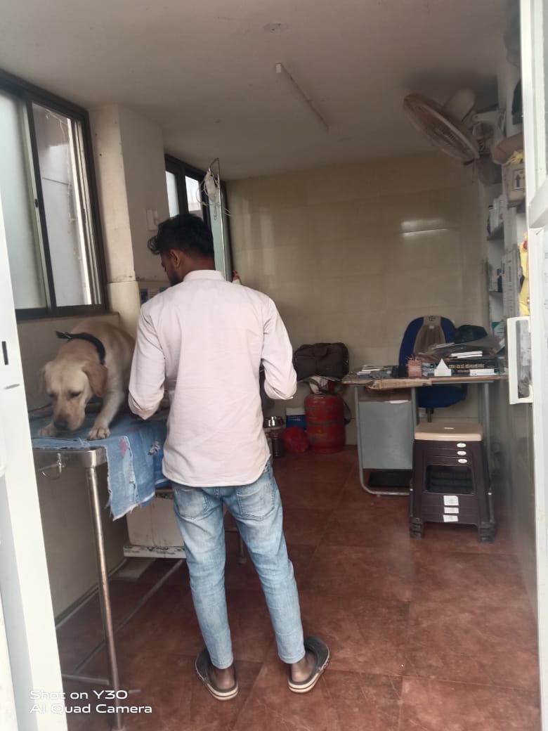 Bharat Pet Clinic — Photo 2