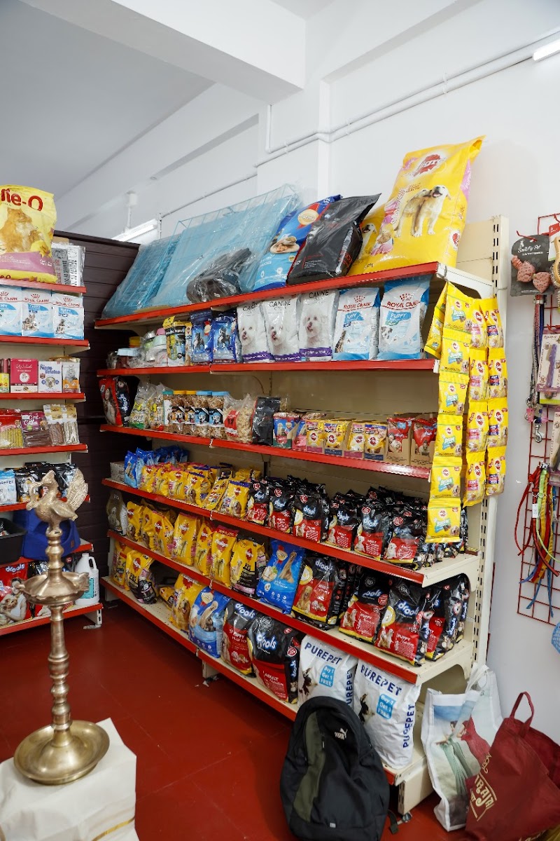 BHOW WOW PET STORE & GROOMING PARLOUR — Photo 3