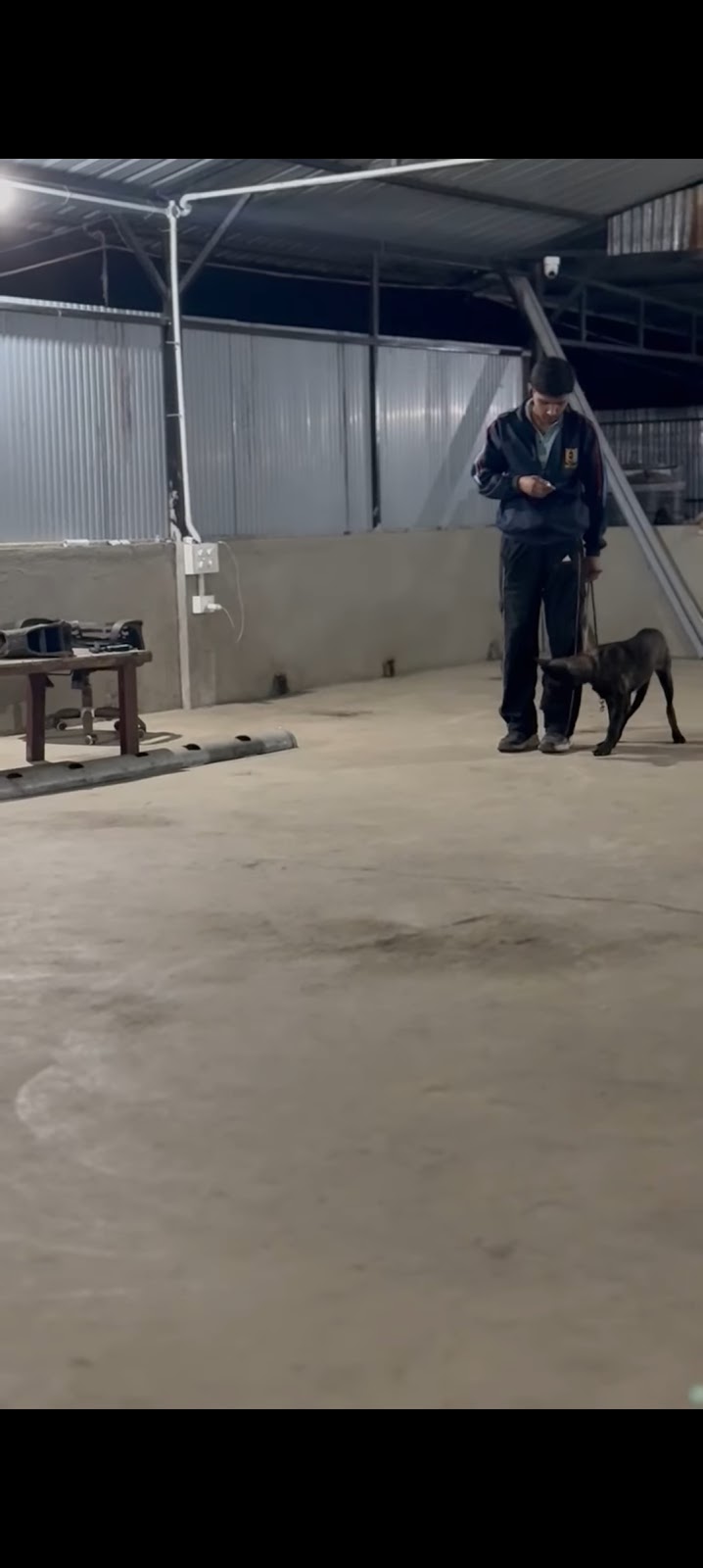 Bhupesh Dog Training