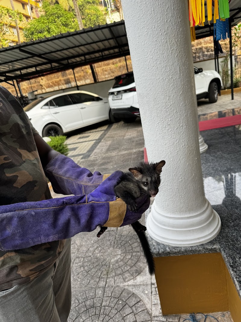 Bhuvan devadiga — Photo 2