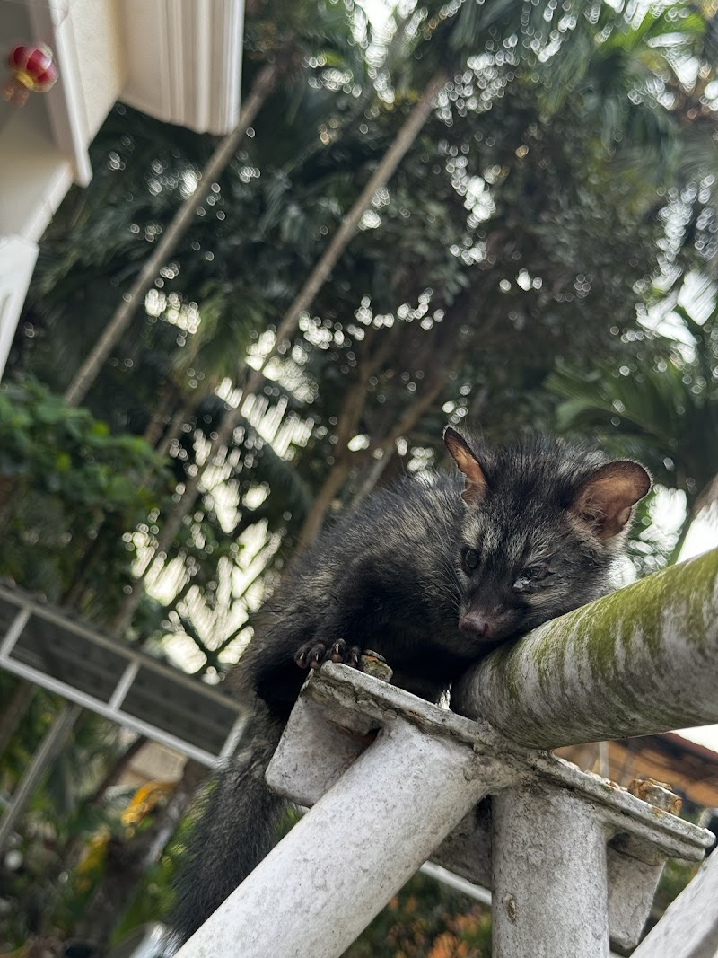 Bhuvan devadiga — Photo 3