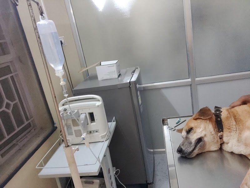 BlueHill Veterinary Care Clinic — Photo 3